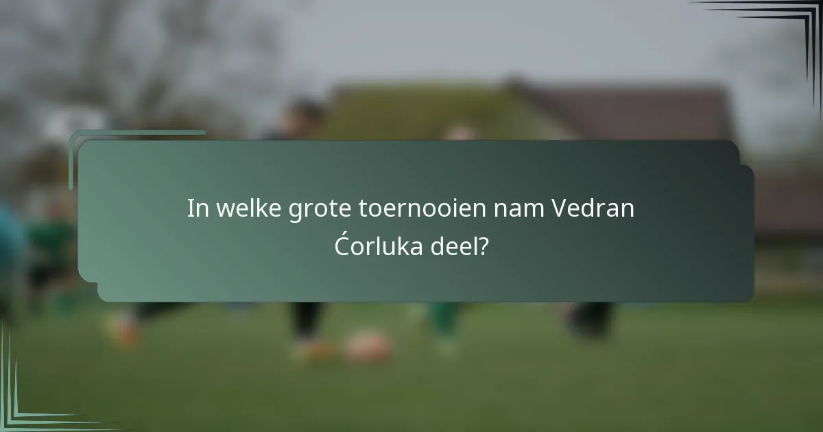 In welke grote toernooien nam Vedran Ćorluka deel?