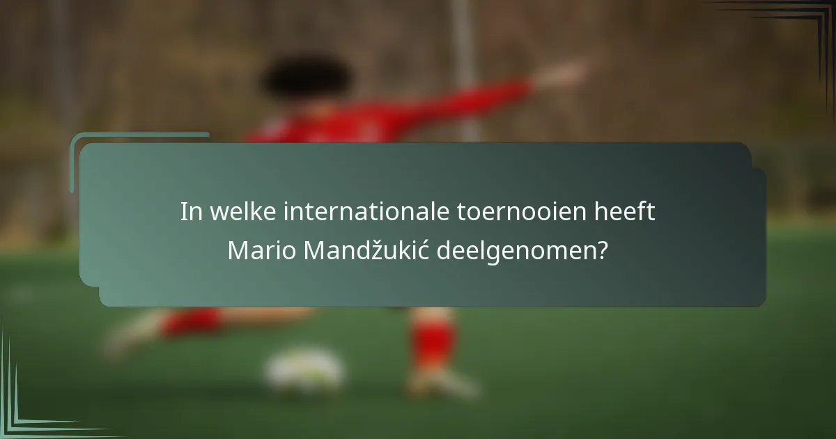 In welke internationale toernooien heeft Mario Mandžukić deelgenomen?